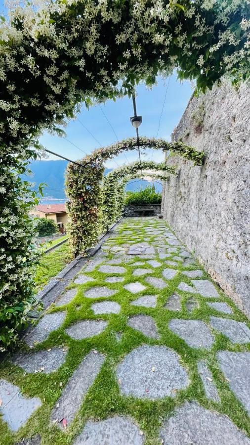Lake View, Swimming Pool, Tennis Court And Private Parking Mezzegra Buitenkant foto